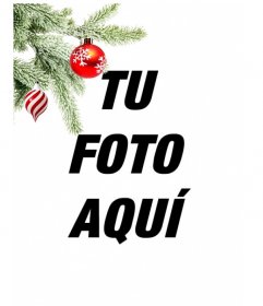 Postal / marco para fotos navideña donde poner una imagen. Efecto de curvas realzado sobre fondo negro