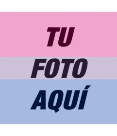 Filtro de la bandera de la bisexualidad para añadir en tus fotos gratis
