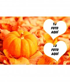 Collage para dos fotos con una calabaza y hojas caídas 