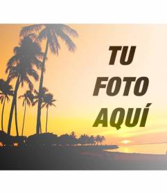 Crea un collage con un paisaje veraniego con una playa y palmeras con tonos anaranjados y una foto tuya online y gratis