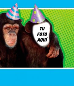 Fotomontaje con un mono disfrazado con un gorro de fiesta