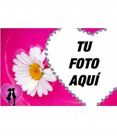 Margarita y corazón, marco para fotos con fondo rosa para poner tu imagen de fondo