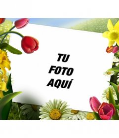 Marco de fotos con dibujos de flores y plantas de primavera