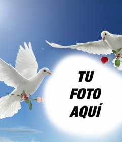 Fotomontaje de la Paz con dos palomas blancas volando