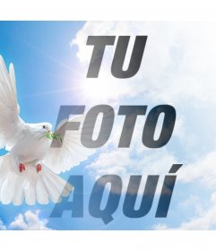 Fotomontaje con la paloma de la Paz para tu foto