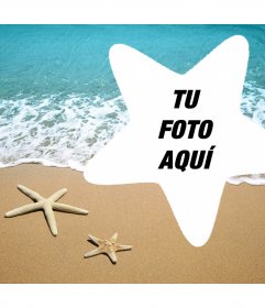 Foto efecto para editar con tu foto y añadirla dentro de una estrella de mar