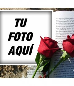 Fotomontajes para sant Jordi, día de la rosa y el libro