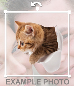 Sticker de un gatito con efecto de que está saliendo de tu foto