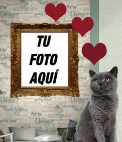 Fotomontaje con gato ruso gris y corazones