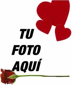 Pon en tu foto una rosa y unos corazones con este foto montaje online