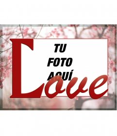 Enmarca tu foto sobre un fondo de cerezos en flor y la palabra LOVE