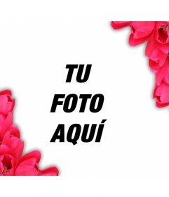 Añade a tus fotos en pareja un marco de flores rojas para darles un look romántico online