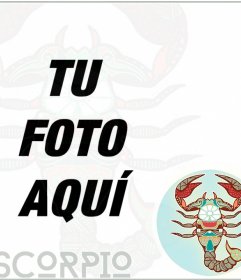 Fondo para tu foto de perfil con un marco fotográfico del Zodiaco ESCORPIO