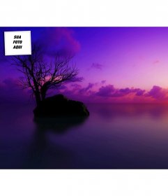 Pôr do sol, papel de parede personalizado em Twitter com sua foto