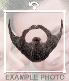 barba castanha com estilo moderno pode entrar em suas fotos 