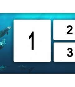 Colagem de três fotos com um fundo azul com golfinhos no mar