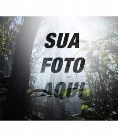 Colagem a partir de uma foto em uma floresta cercada por natureza e árvores, onde você pode adicionar uma foto e um texto online