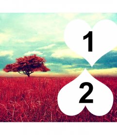 Colagem para duas fotos em forma de coração em rosa campo do fundo e céu com