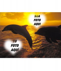Colagem para duas fotos em forma de coração e golfinhos saltando