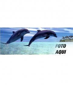 Foto da capa para o Facebook de golfinhos pulando com fundo personalizados com sua