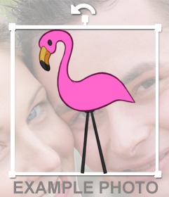 Etiqueta de um flamingo rosa para inserir na sua foto