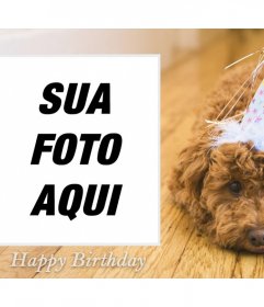 Efeito da foto do aniversário com um cão para seu 