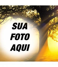 Editar esta colagem da foto de um por do sol com uma árvore acima de sua foto livre efeito Foto