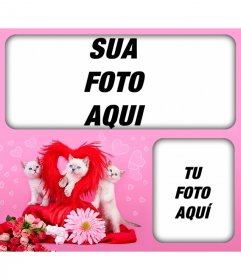 Fotomontagem romântico com gatinhos e corações com um fundo rosa para colocar