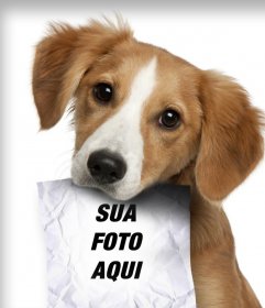 Fotomontagem com cachorro triste olhando para o seu proprietário, que tem um papel na boca, onde você pode fazer upload de uma foto
