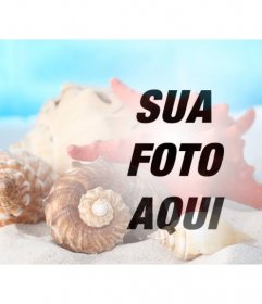 Fotomontagem para fazer uma colagem com conchas do mar e conchas na areia da praia em uma foto de você