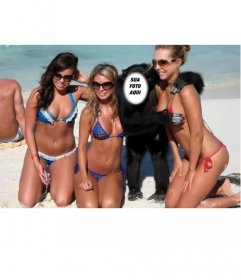 Criar esta fotomontagem ser um macaco com três meninas no swimsuit