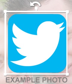 Adicione o logotipo do twitter às suas fotos online