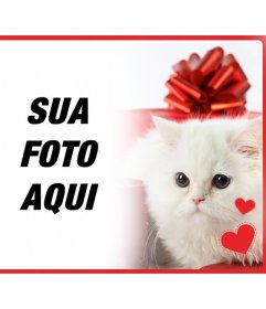 Cartão romântico com gatinho persa branco com o coração na frente de uma caixa de presente ea foto que você enviar online