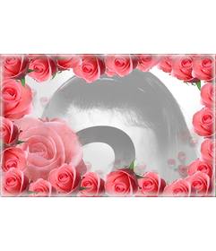 Photo frame cercado por rosas e sua foto
