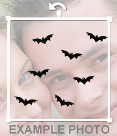 Morcegos que voam para colar em suas fotos e decorá-los com esta etiqueta