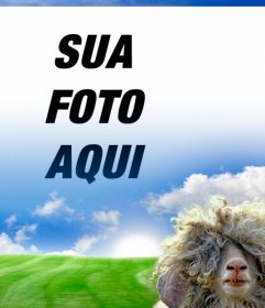 Fotomontagem com uma ovelha e um fundo verde prado