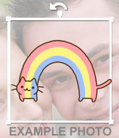 Etiqueta de um gato com as cores do arco-íris