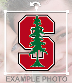 Etiqueta do logotipo da Universidade de Stanford para inserir em suas fotos no formulário on-line