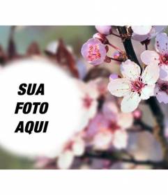 Fotomontagem em um fundo borrado com flores de cerejeira e uma photoframe semitransparente arredondado para colocar sua foto