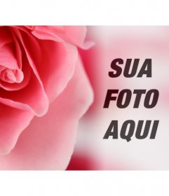 Fotomontagem romântico com uma rosa cor de rosa e fundo desfocado onde sobrepor uma foto de si mesmo ou de seu parceiro