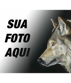 Fotomontagem com uma imagem de um lobo para fazer colagens com suas próprias imagens e frases
