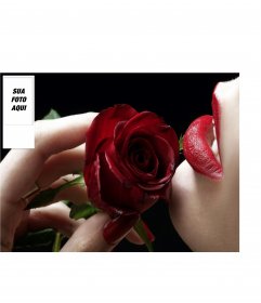 Fundo romântico para o Twitter com uma rosa vermelha. Personalizável com sua própria foto