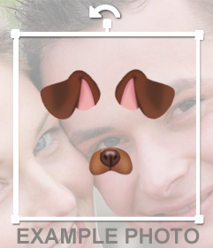 Cole as orelhas e o nariz de um cachorrinho na sua foto livre