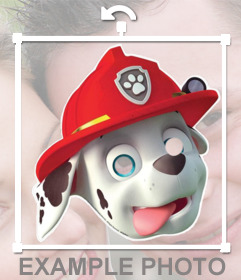 Etiqueta de uma máscara do personagem Marshall de Canine Patrol