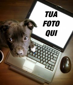 Collage con un cucciolo che giocano su un computer in cui si può mettere la vostra fotografia