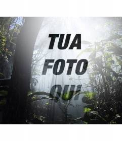 Collage da una foto in una foresta circondata dalla natura e da alberi di cui è possibile aggiungere una foto e testo online