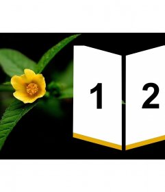 Impostazione accanto a un fiore giallo per due foto come insegne
