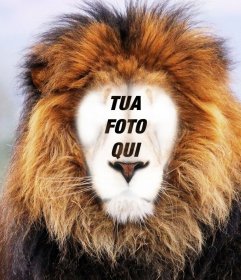 Fotomontaggio di un leone per mettere la tua faccia online 