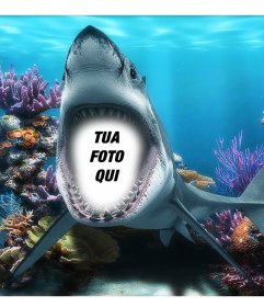 La tua foto allinterno della bocca di uno squalo sotto il mare con questo divertente fotomontaggio