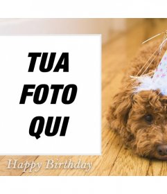 Effetto Foto di compleanno con un cane per la tua foto 